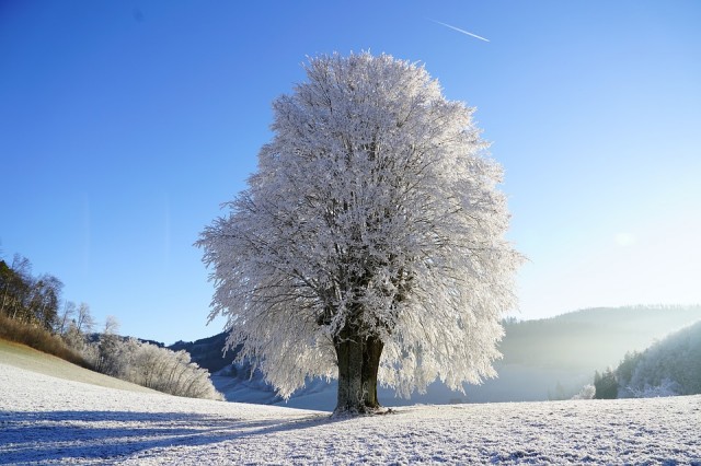 В Тюменской области в середине зимы зафиксировали температурный рекорд