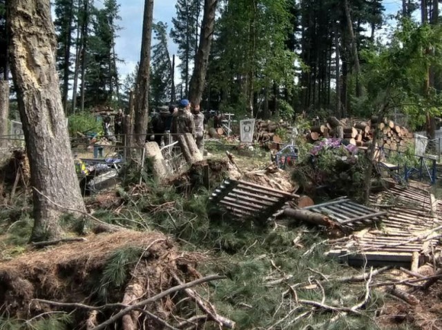 Кладбище почти расчищено Кладбище почти расчищено