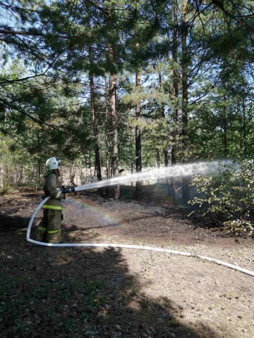 Жители Сургутского района своими силами потушили пожар в лесу