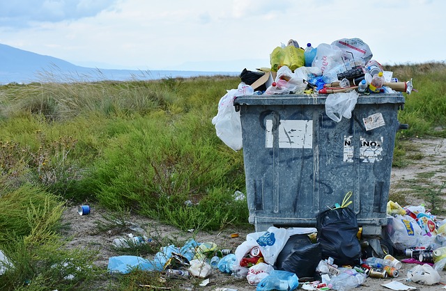 Тюменцы массово жалуются на засорённый мусором город и плохие дороги