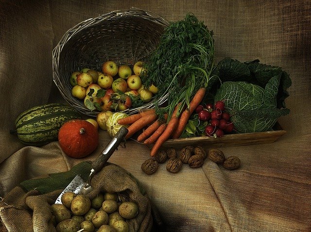 В Костромской области бесплатно раздают землю для выращивания овощей