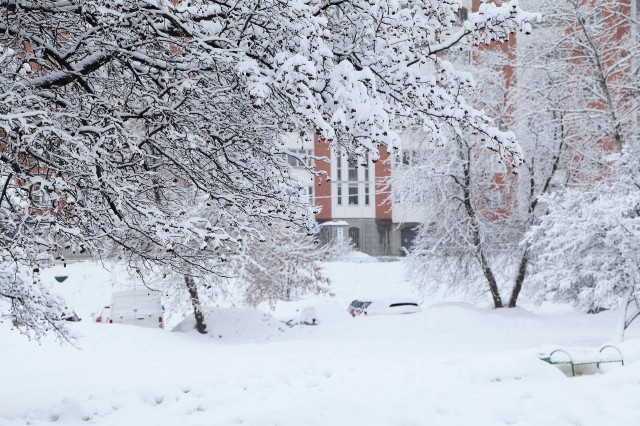 ​В сургутских дворах после морозов начали убирать снег
