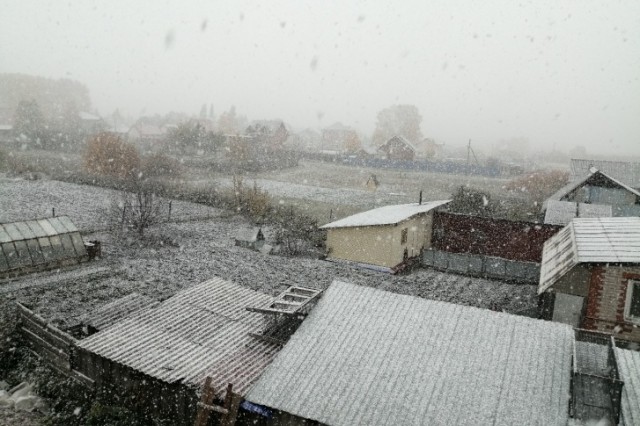 Первый снег выпал в Тюменской области