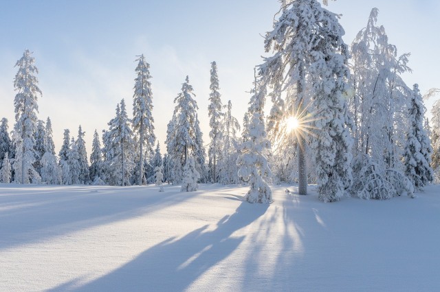 В Томской области в середине декабря ожидаются 30-градусные морозы