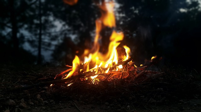 Челябинский студент устроил акт самосожжения в лесу