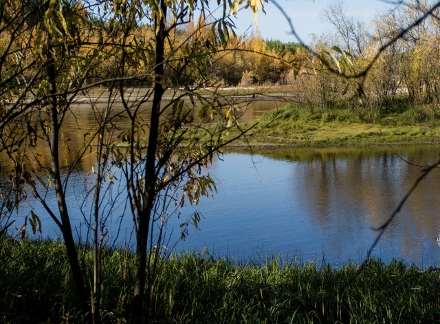 ​В Челябинской области в реке Увельке утонул ребёнок