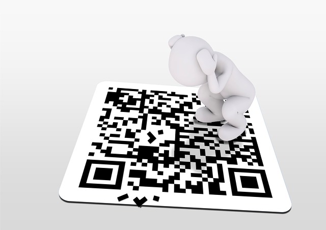 Родители взбунтовались против QR-кодов на входе в спортивные секции Екатеринбурга
