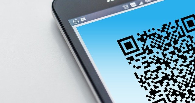 Воронежских пенсионеров во вторник 16 ноября испытала на прочность QR-очередь в «Моих документах»