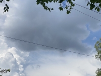 ​В Тюмени 28 июня синоптики прогнозируют дождь и +9
