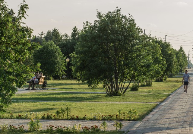 На нашествие клещей в парке «Оленьи Ручьи» Екатеринбурга пожаловалась местная жительница