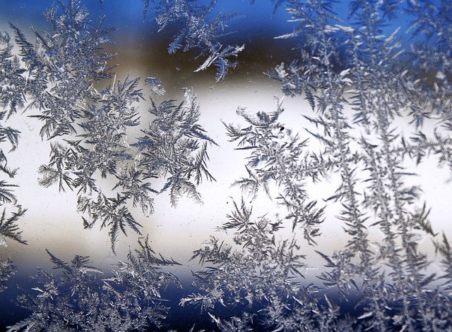 Синоптики пообещали ночные заморозки до -5 в Свердловской области