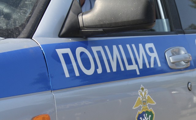 Жители Верхней Пышмы коллективно заявили в полицию на цыган города