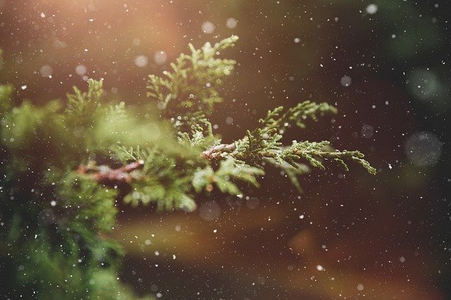 Синоптики рассказали какую погоду принесёт астраханцам декабрь