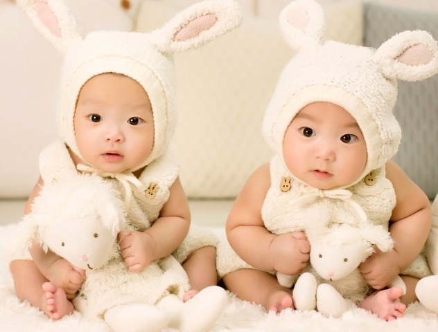 За первые 2 месяца года в Липецкой области родилось 11 пар близнецов
