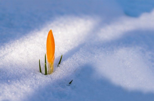 В марте в Свердловской области ожидается тёплая погода