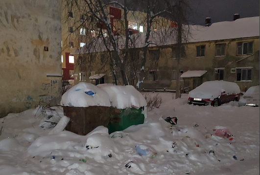 Мусор под снегом не спрячешь: жителя Белого Яра возмутила стихийная свалка