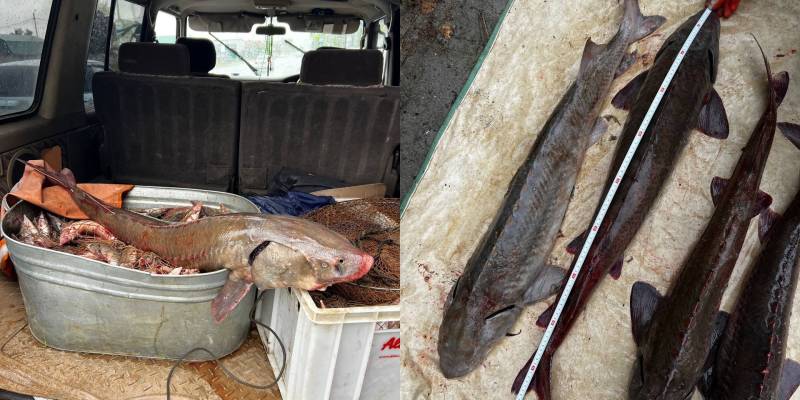 На крючке закона: в ХМАО задержаны браконьеры с крупным уловом на 2,5 миллиона