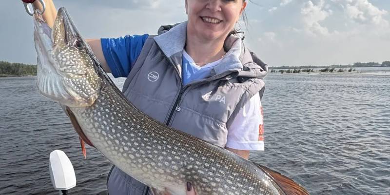 Замгубернатора ХМАО выловила щуку-гиганта, которая сама напросилась на крючок Замгубернатора ХМАО выловила щуку-гиганта, которая сама напросилась на крючок