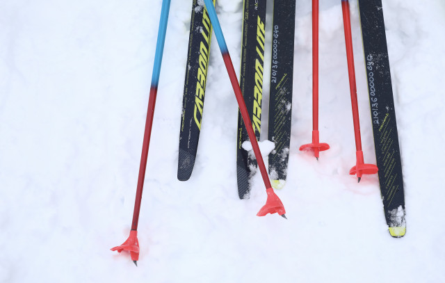 Собака сбила лыжницу из ХМАО на чемпионате России. ВИДЕО