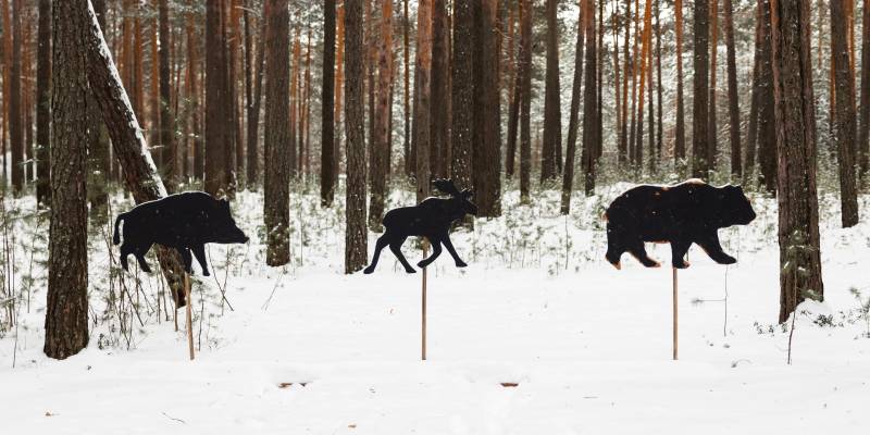 В ХМАО завершается осенне-зимний сезон охоты: что нужно сделать охотникам
