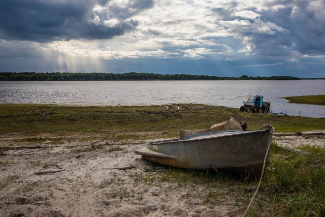 Мертвое озеро: в Нижневартовске массово погибших рыб прибило к берегу
