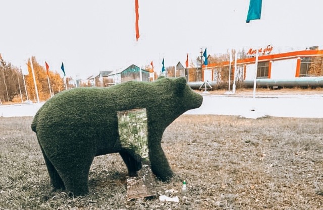 В городе ХМАО вандалы оторвали бок у топиарной фигуры медведя