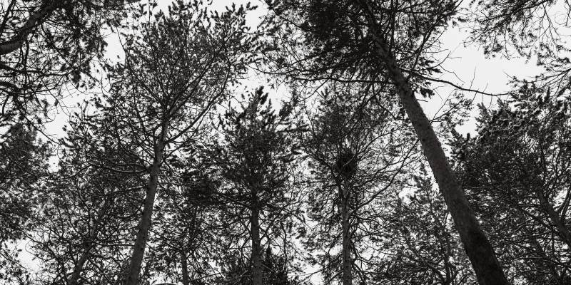 Один из задержанных &ndash; подросток: в Сургуте поймали закладчиков с крупной партией наркотиков