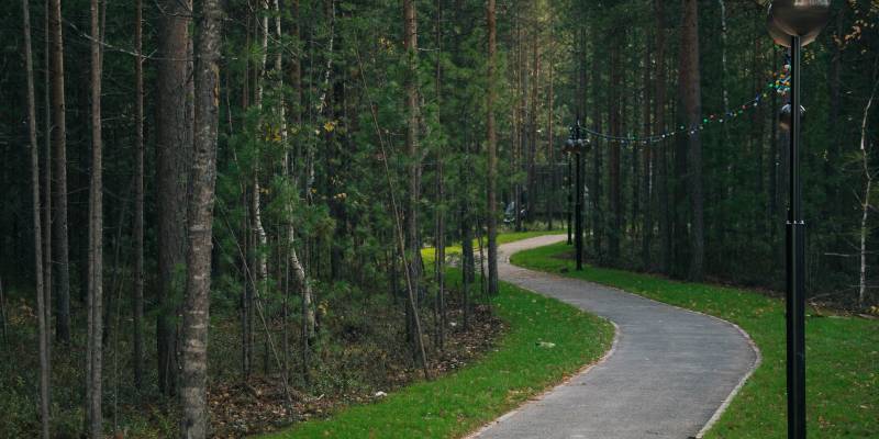 В Макеевке поселятся мамонты из ХМАО
