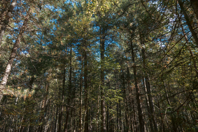 Жители ХМАО смогут получить 2 миллиона рублей после укусов клещей Жители ХМАО смогут получить 2 миллиона рублей после укусов клещей