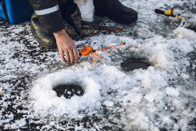 Не простая, а золотая: рыбак из Сургута поймал редкую рыбу