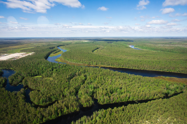 Мощные лесные пожары ожидаются в ХМАО в июле 2026 года Мощные лесные пожары ожидаются в ХМАО в июле 2026 года