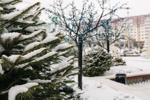 Первую актировку в этом учебном году объявили в ХМАО из-за аномальных морозов
