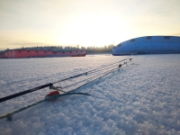 Впервые в Сургутском районе пройдут соревнования по сноукайтингу