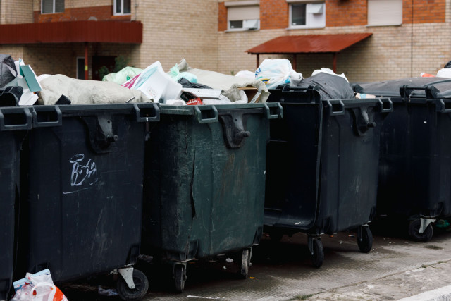 Как часто должен вывозиться мусор и куда жаловаться на свалку, объяснили россиянам