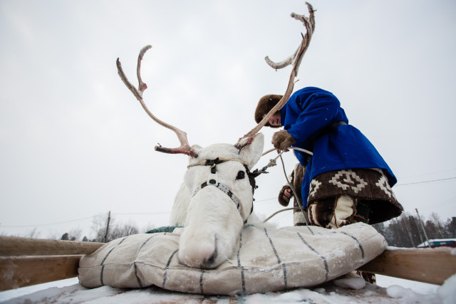 Оленеводы из Сургутского района отправятся на главные состязания в столицу ХМАО