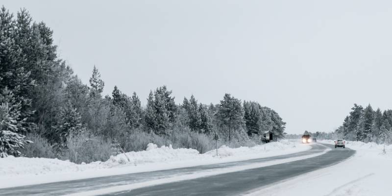 Водителей из ХМАО предупредили о внезапном выходе лосей-путешественников на трассы