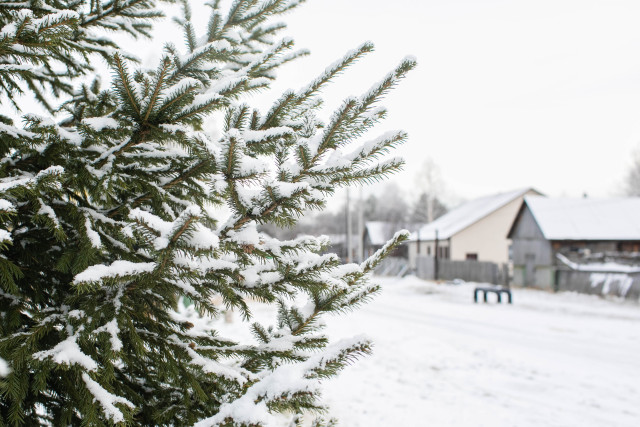 Актировка: в школах муниципалитетов ХМАО отменили занятия из-за 30-градусного мороза