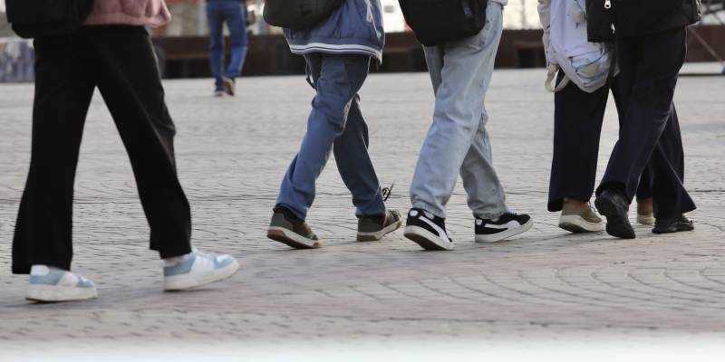 Собачий кайф: в России лекарства для животных стали опасным наркотиком у молодежи