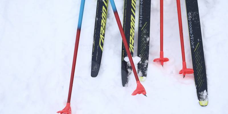 Собака сбила лыжницу из ХМАО на чемпионате России. ВИДЕО