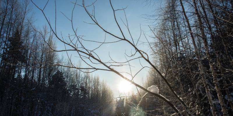 Жителям ХМАО напомнили о скрытых опасностях весны