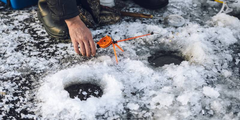 Не простая, а золотая: рыбак из Сургута поймал редкую рыбу