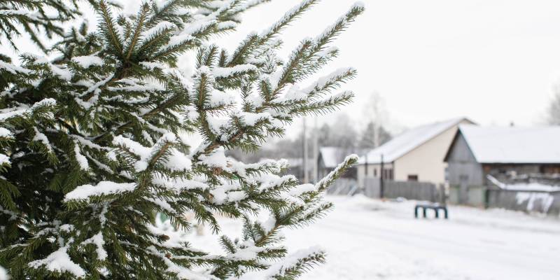Актировка: в школах муниципалитетов ХМАО отменили занятия из-за 30-градусного мороза