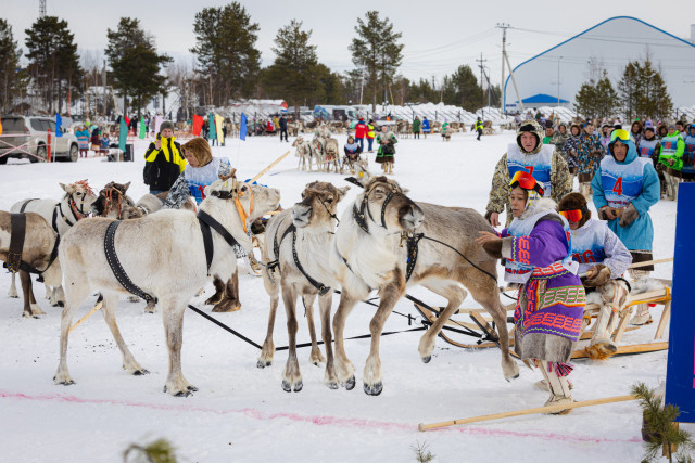 Как в Сургутском районе сохраняют культуру коренных народов через гонки, гранты и родовые угодья Как в Сургутском районе сохраняют культуру коренных народов через гонки, гранты и родовые угодья