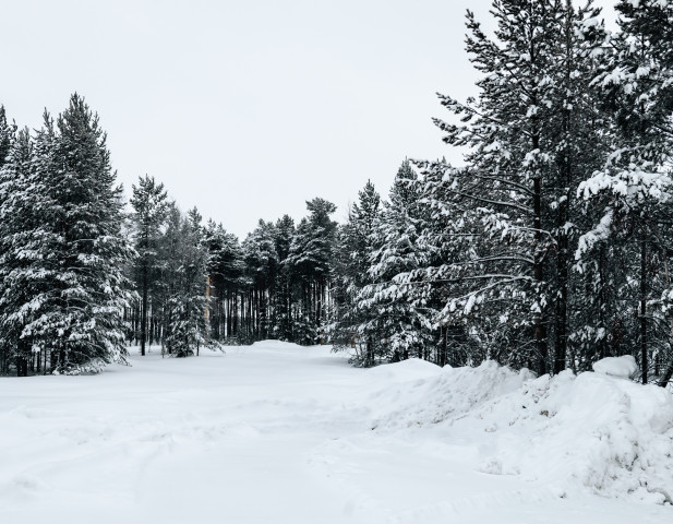 Тотальная слежка: стаи дронов и армия камер помогут бороться с лесными пожарами в ХМАО