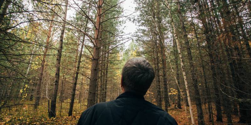 Мужчина убил брата ножом в шею, спрятал тело в лесу и попытался покинуть ХМАО