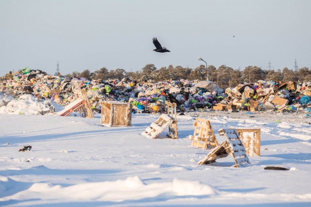 В Сургутском районе образуется более 35 тыс. тонн отходов в год