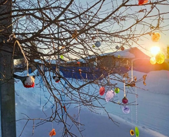 В Сургутском районе жители голосуют за лучшее новогоднее оформление придомовых территорий