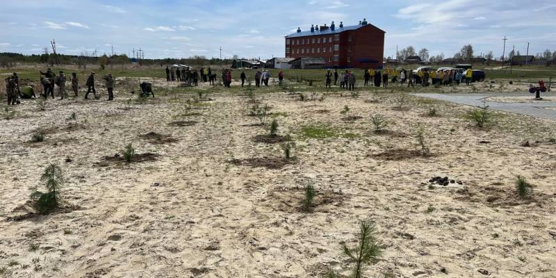 В отдаленном селе Сургутского района молодежь и профессионалы высадили сотни кедров
