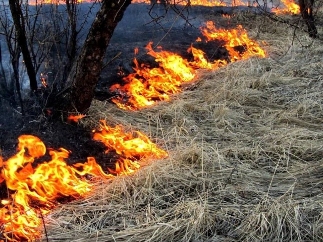 Югорчанин пытался избавиться от сухой травы и едва не сжег нефтебазу