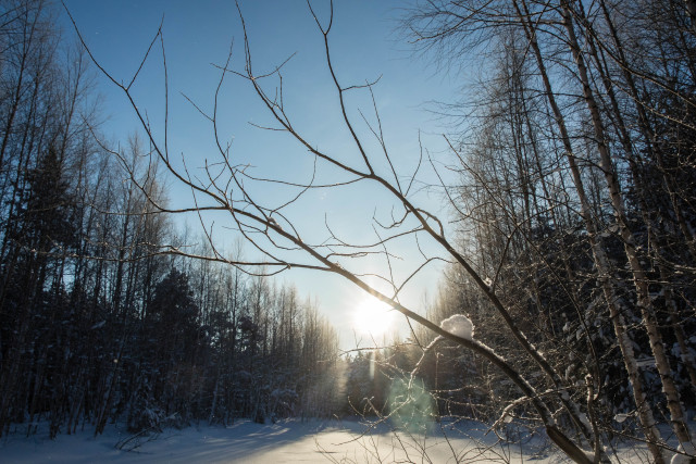 Жителям ХМАО напомнили о скрытых опасностях весны